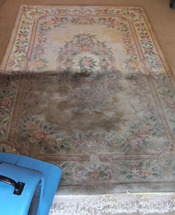 قالیشویی-اصیل-ایرانی